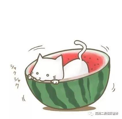 娱乐圈吃瓜漫画图片超清,揭秘吃瓜漫画中的明星幕后故事