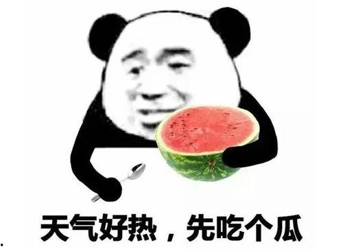 微信吃瓜表情包是哪个